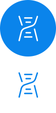 設(shè)計(jì)、樣線(xiàn)開(kāi)發(fā) 定型及試驗(yàn)